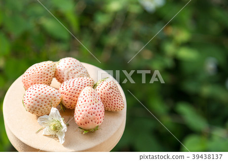 白色的草莓 白色的草莓 39438137