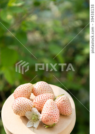 白色的草莓 白色的草莓 39438138