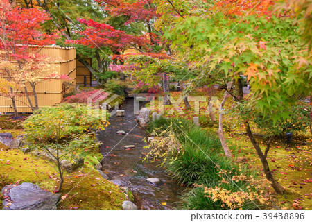 Fall foliage garden at Eikando, Kyoto 39438896