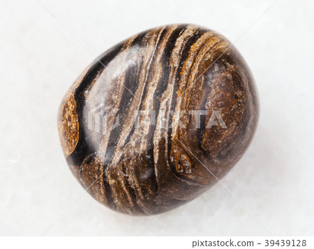 tumbled stromatolite gemstone on white tumbled stromatolite gemstone on white 39439128