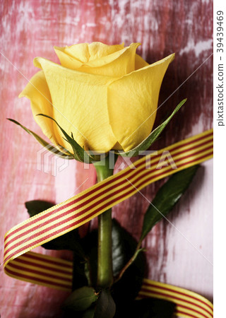 yellow rose and catalan flag 39439469