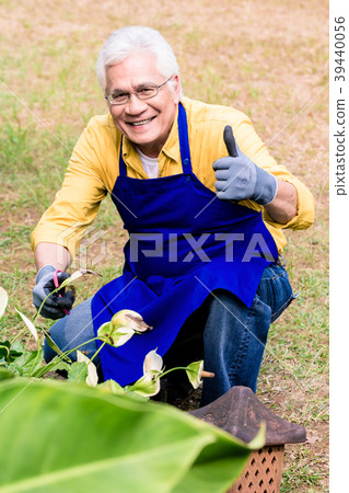 Portrait of active Asian elderly man smiling while Portrait of active Asian elderly man smiling while 39440056