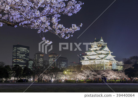 Osaka Castle / Night Sakura / Light Up Osaka Castle / Night Sakura / Light Up 39440064