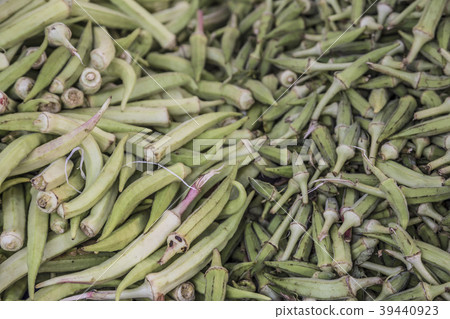 fresh raw okras as a background fresh raw okras as a background 39440923