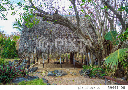 bure with thatched roof 39441406