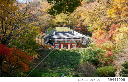 Seokguram Grotto Temple in autumn. Seokguram Grotto Temple in autumn. 39441906
