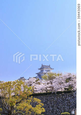 Himeji Castle Himeji Castle 39443069