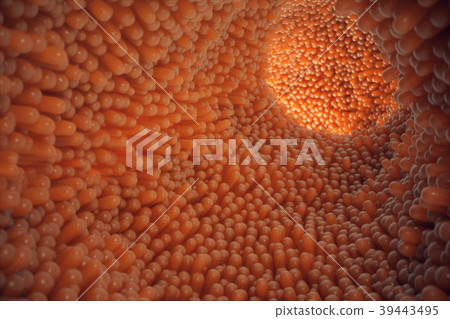 3D illustration close-up Intestinal villi 3D illustration close-up Intestinal villi 39443495