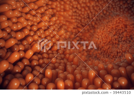 3D illustration close-up Intestinal villi 3D illustration close-up Intestinal villi 39443510