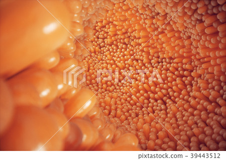 3D illustration close-up Intestinal villi 3D illustration close-up Intestinal villi 39443512