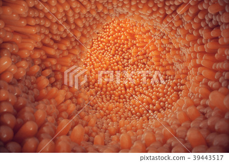 3D illustration close-up Intestinal villi 3D illustration close-up Intestinal villi 39443517