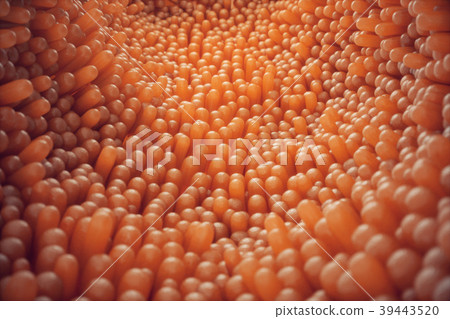 3D illustration close-up Intestinal villi 39443520