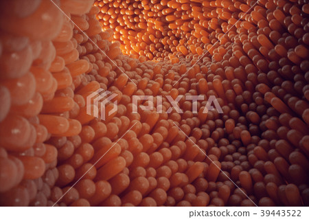 3D illustration close-up Intestinal villi 39443522