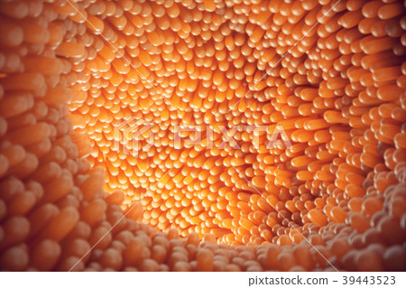 3D illustration close-up Intestinal villi 3D illustration close-up Intestinal villi 39443523