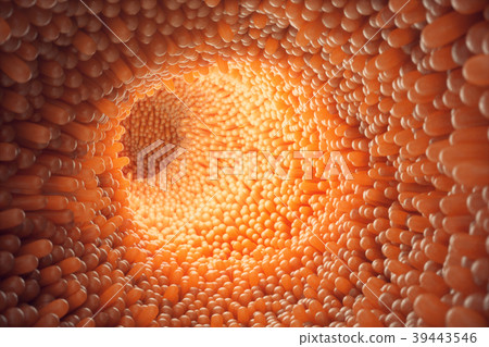 3D illustration close-up Intestinal villi 3D illustration close-up Intestinal villi 39443546