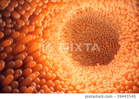 3D illustration close-up Intestinal villi 39443548