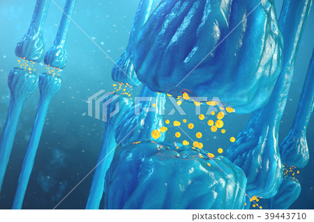 Synaptic transmission, human nervous system. Brain Synaptic transmission, human nervous system. Brain 39443710