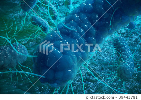 3D illustration Enterobacterias. Gram negativas 39443781