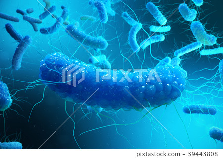 3D rendering Enterobacterias. Gram negativas 39443808