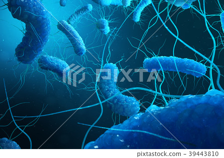 Enterobacterias Gram negativas Proteobacteria Enterobacterias Gram negativas Proteobacteria 39443810