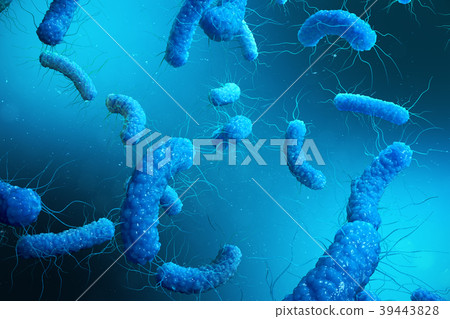 Enterobacterias Gram negativas Proteobacteria 39443828
