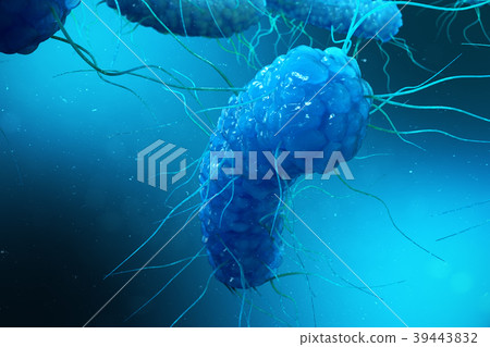 Enterobacterias Gram negativas Proteobacteria Enterobacterias Gram negativas Proteobacteria 39443832