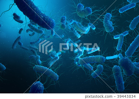 Enterobacterias Gram negativas Proteobacteria 39443834