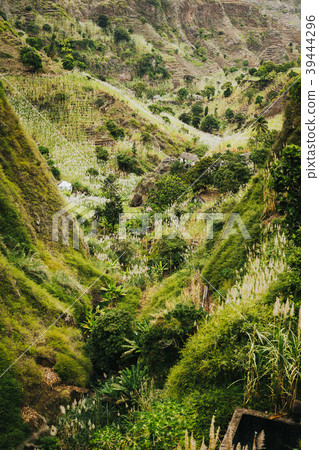 Cape Verde. Landscape of vegetation and mountains 39444296