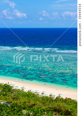 吉野海岸 39444554