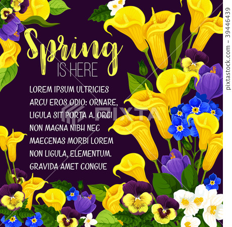 Spring flower greeting card of Springtime Holiday Spring flower greeting card of Springtime Holiday 39446439