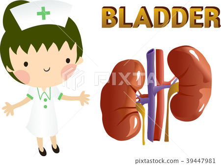 Medicine illustration, vector, illustration 39447981