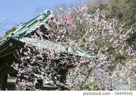 Kojo-ji Temple 39449542