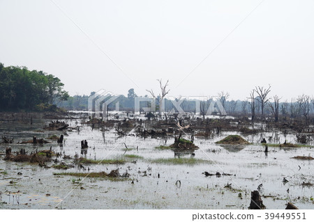 吳哥遺址Nyac Poin的沼澤地區 吳哥遺址Nyac Poin的沼澤地區 39449551