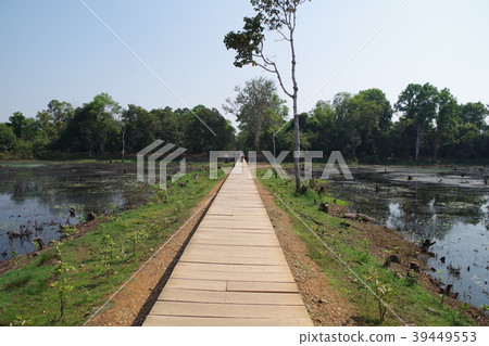 吳哥遺址通往Nyack Poin的道路 吳哥遺址通往Nyack Poin的道路 39449553