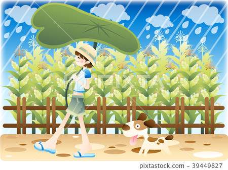 Summer illustration, vector, illustration 39449827
