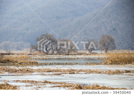 Gyeongan Stream, Gwangju, Gyeonggi-do Gyeongan Stream, Gwangju, Gyeonggi-do 39450040
