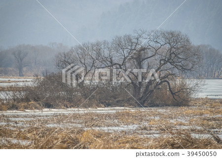 Gyeongan Stream, Gwangju, Gyeonggi-do 39450050
