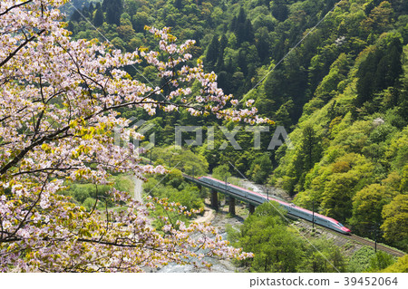 Akita Shinkansen 04 Akita Shinkansen 04 39452064