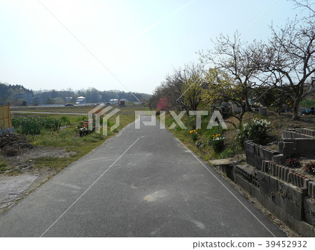 鄉村小路 39452932