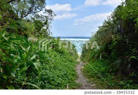 Sea view Sea view 39455332