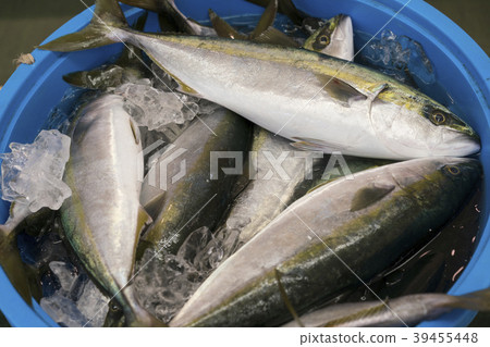 Fish shop Inada 39455448