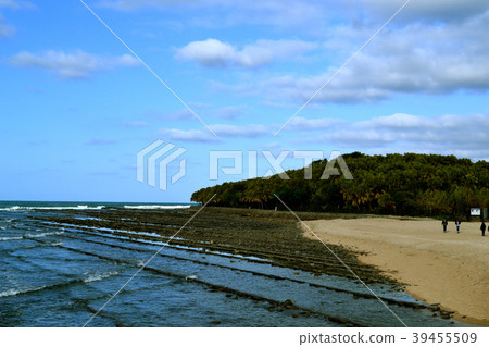 Miyazaki in the spring Aoshima landscape full of mood 39455509