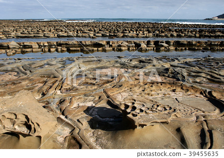 Miyazaki in the spring Aoshima landscape full of mood 39455635