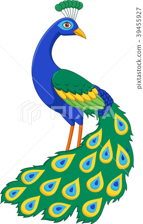 Cartoon funny peacock - Stock Illustration [39455927] - PIXTA