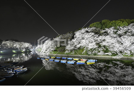 Tokyo cityscape in Japan Cherry blossoms and night view of the Chidorigafuchi (boat moored) Tokyo cityscape in Japan Cherry blossoms and night view of the Chidorigafuchi (boat moored) 39456509