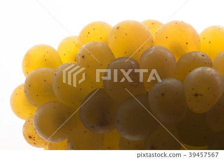 Fresh green grapes Isolated on white-Sauvignon 39457567