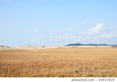 Taean Sinduri Coast Dune, Taean-gun, Chungnam, Korea Taean Sinduri Coast Dune, Taean-gun, Chungnam, Korea 39457929