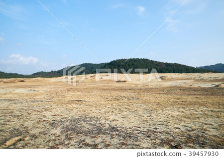 Taean Sinduri Coast Dune, Taean-gun, Chungnam, Korea Taean Sinduri Coast Dune, Taean-gun, Chungnam, Korea 39457930