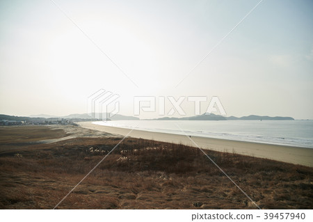 Taean Sinduri Coast Dune, Taean-gun, Chungnam, Korea Taean Sinduri Coast Dune, Taean-gun, Chungnam, Korea 39457940