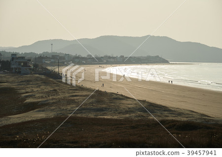 Taean Sinduri Coast Dune, Taean-gun, Chungnam, Korea Taean Sinduri Coast Dune, Taean-gun, Chungnam, Korea 39457941